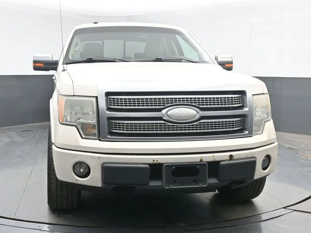Used 2009  Ford Platinum image 2