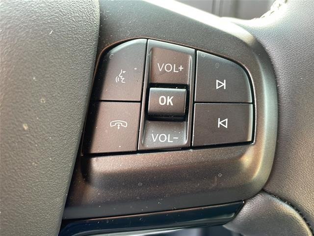 Used 2025 Star White Ford Premium image 50