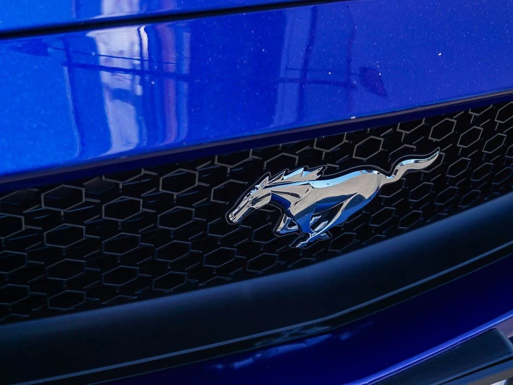 Used 2016 Blue Ford GT Premium image 12