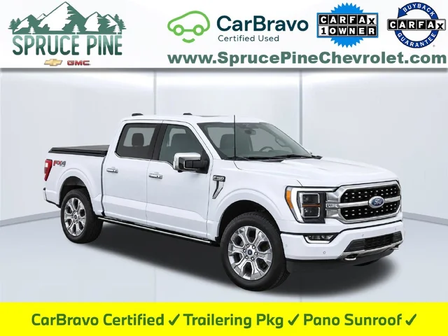 2022 Ford F-150 Platinum