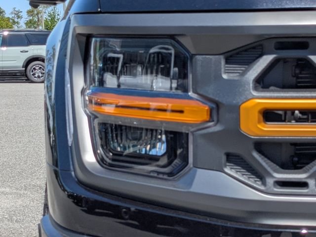 2025 Ford F-150 Tremor - Photo 10