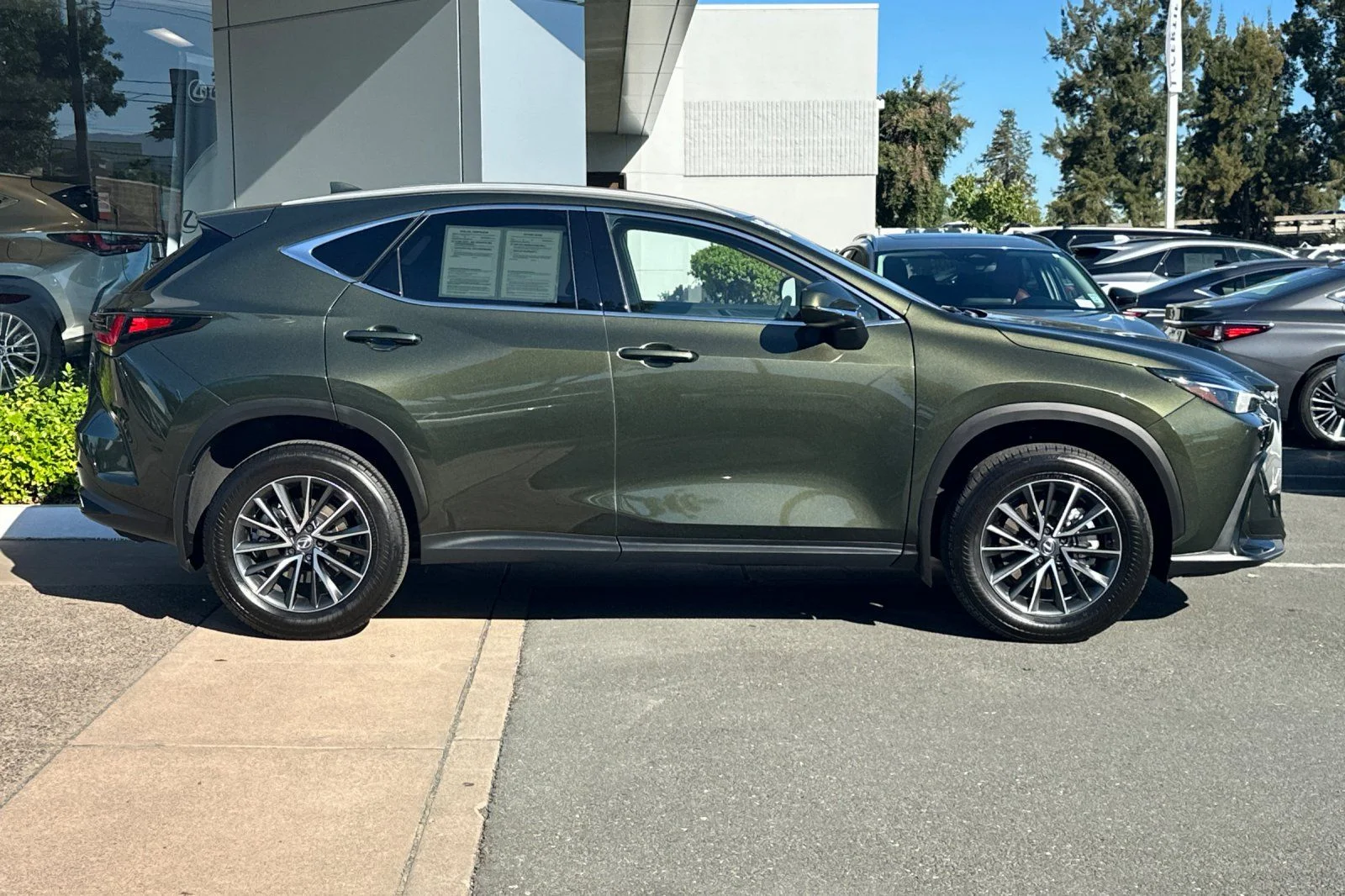Used 2025 Green Pearl Lexus 250 Premium image 3
