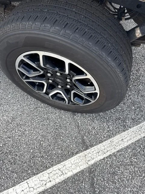 Used 2019 White Ford XL image 7