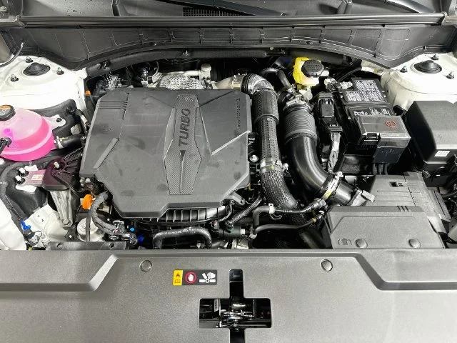 New 2027 White Hyundai Calligraphy image 22