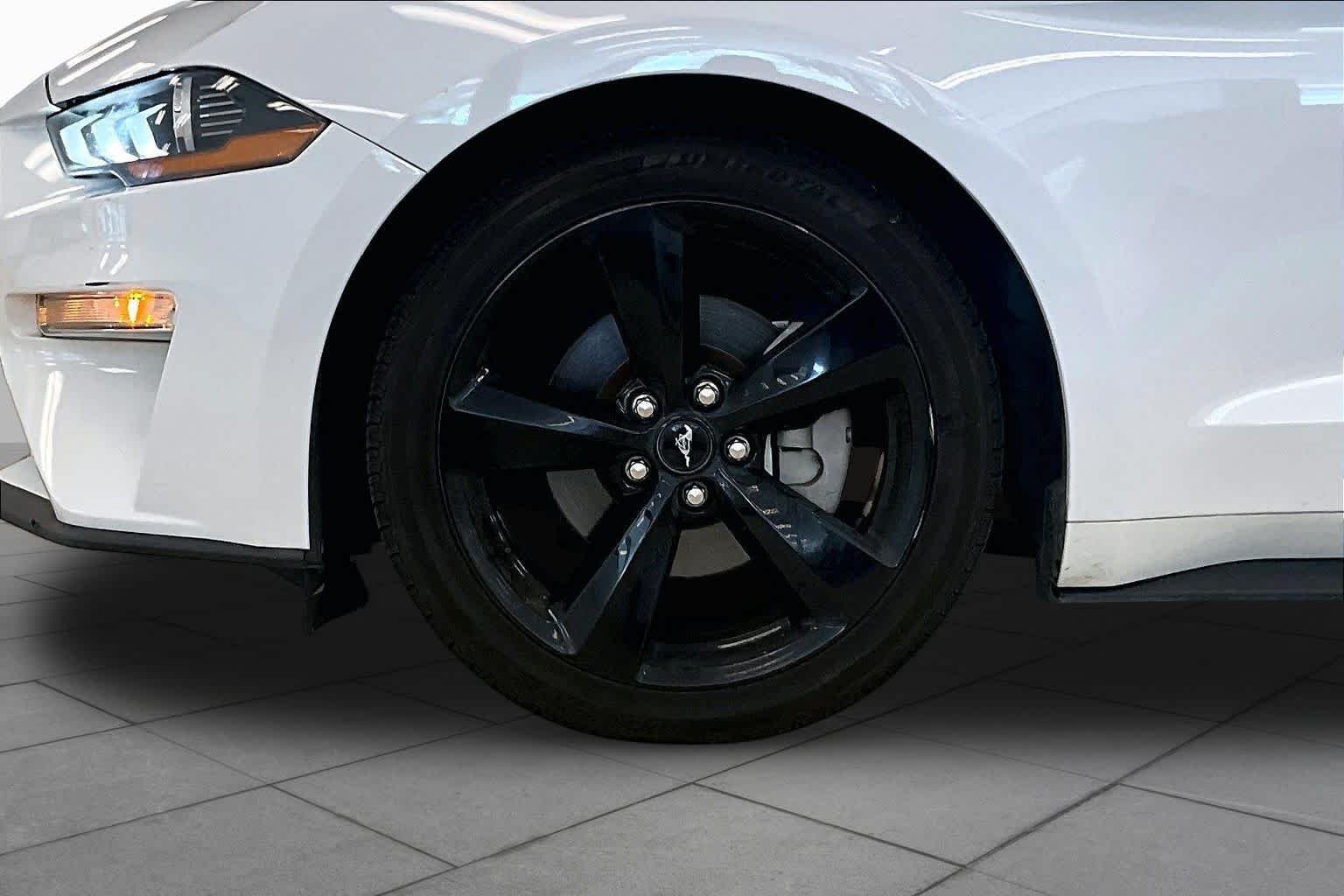 Used 2022 Oxford White Ford EcoBoost image 9