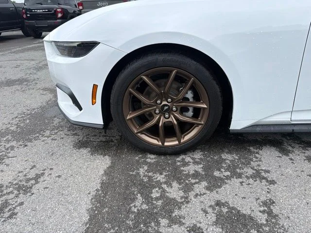 2025 Ford Mustang EcoBoost Premium Fastback - Photo 13