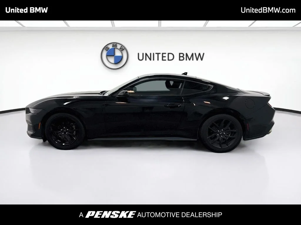 Used 2024 Shadow Black Ford EcoBoost image 8
