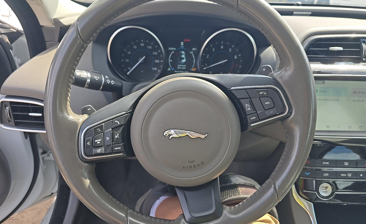 Used 2019 Fuji White Jaguar 25t image 7