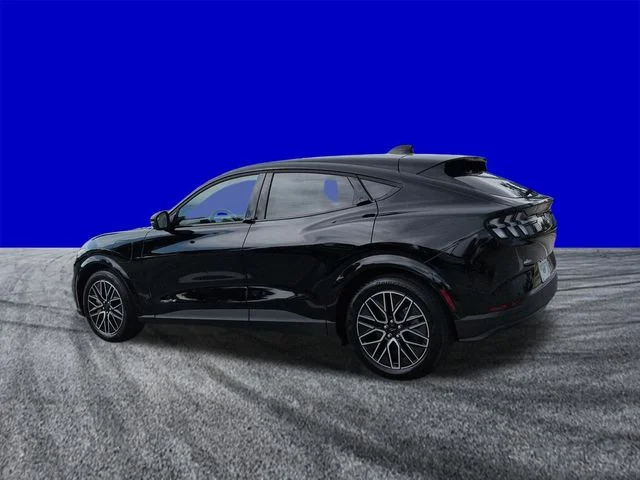 New 2026 Shadow Black Ford Premium image 6