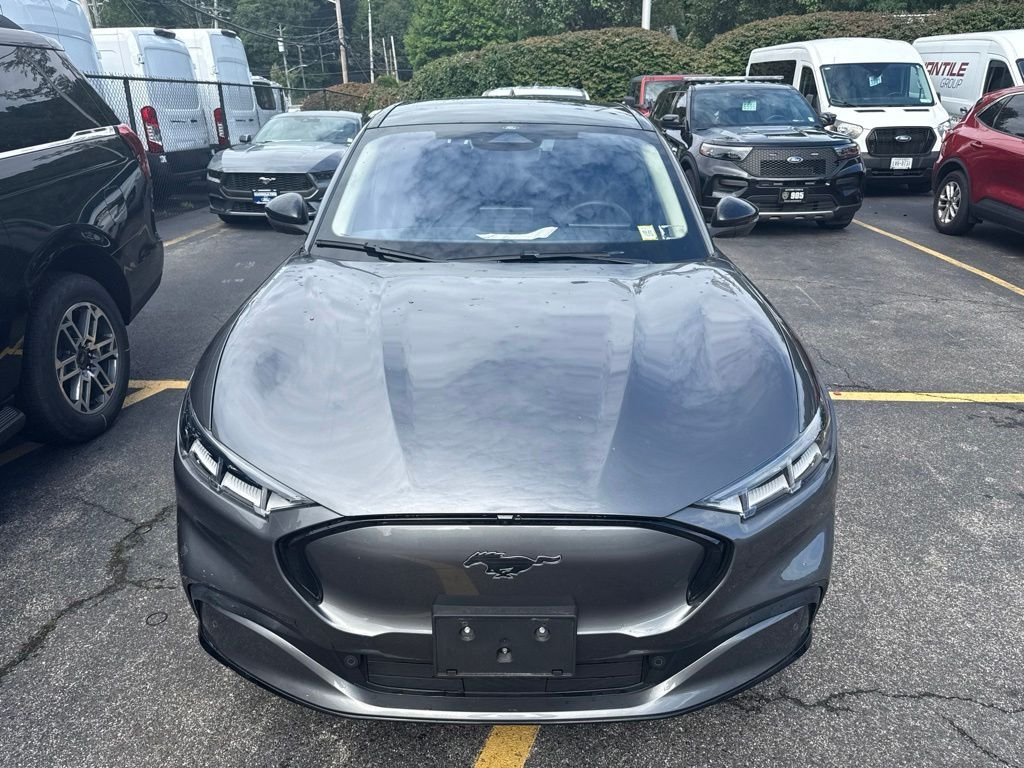 Used 2023 Gray Ford Premium image 4