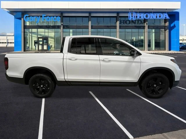 New 2026 Platinum White Pearl Honda Black Edition image 7