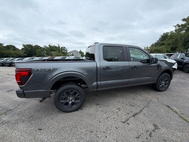 New 2026 Gray Ford STX image 2