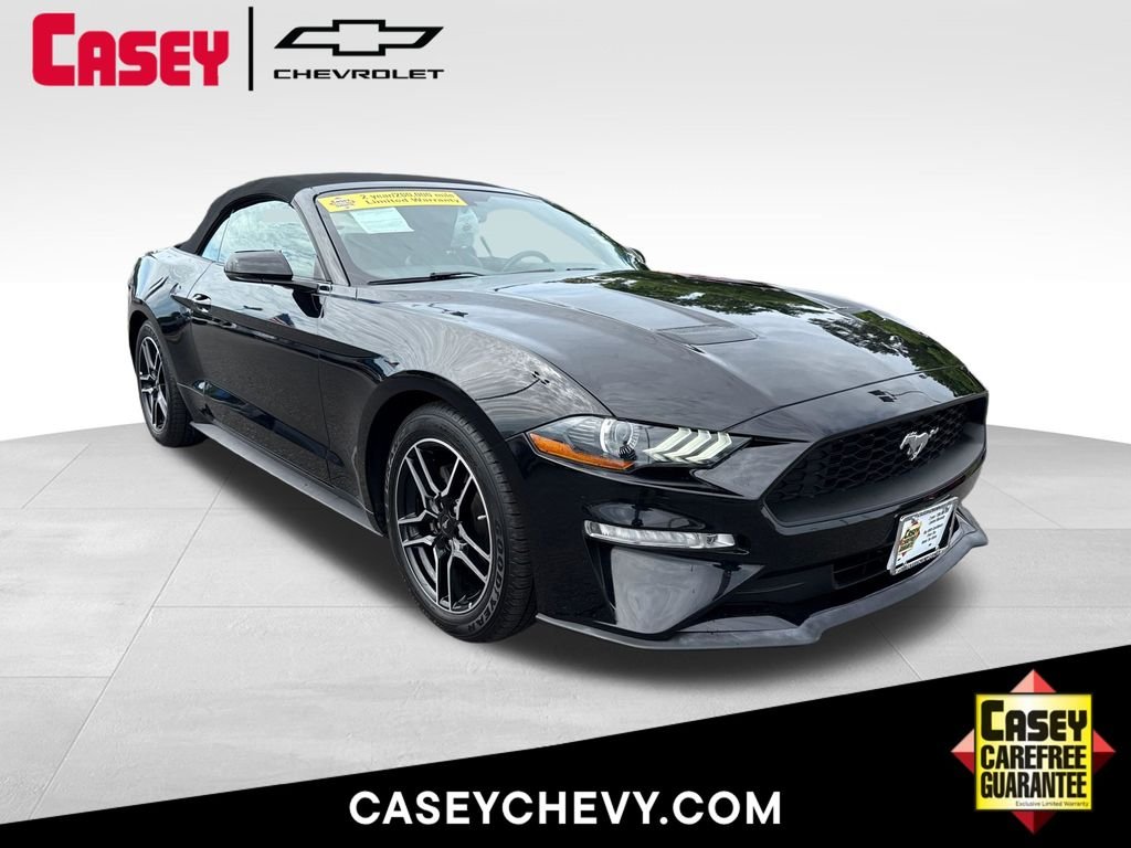 2019 Ford Mustang EcoBoost Convertible Premium's photo