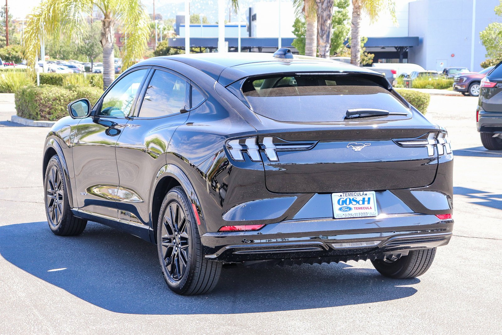 New 2026 Shadow Black Ford Premium image 6