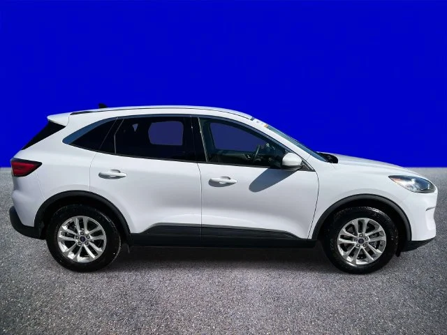 Certified Used 2020 Oxford White Ford SE image 2