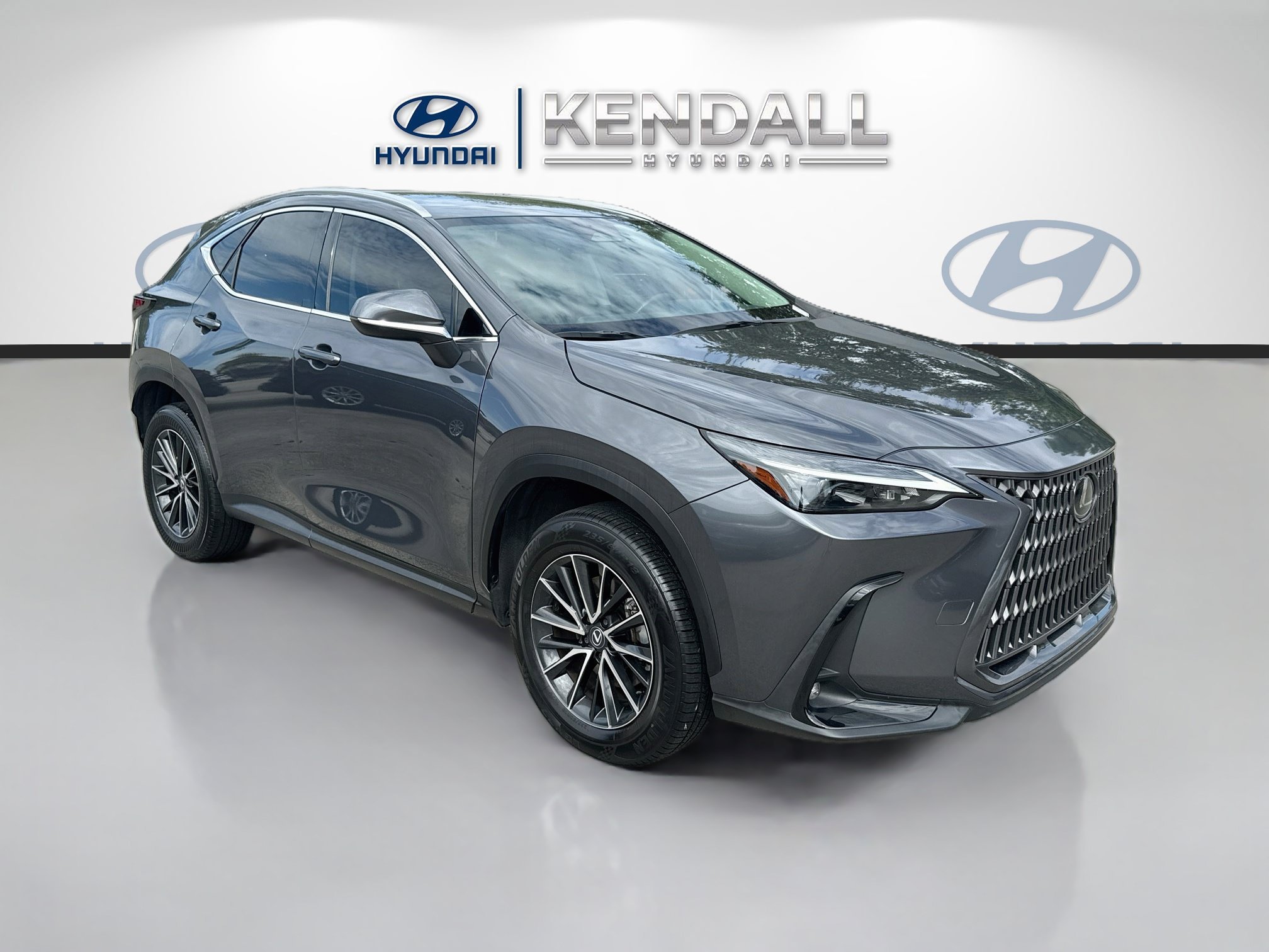 2024 Lexus NX
