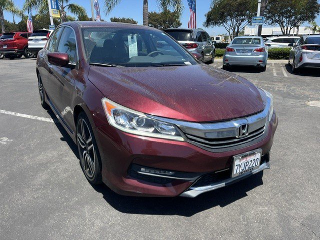 Used 2017 Maroon Honda Sport image 4