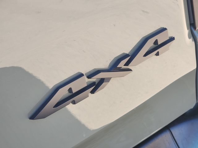 Used 2026 Green Ram Laramie image 9