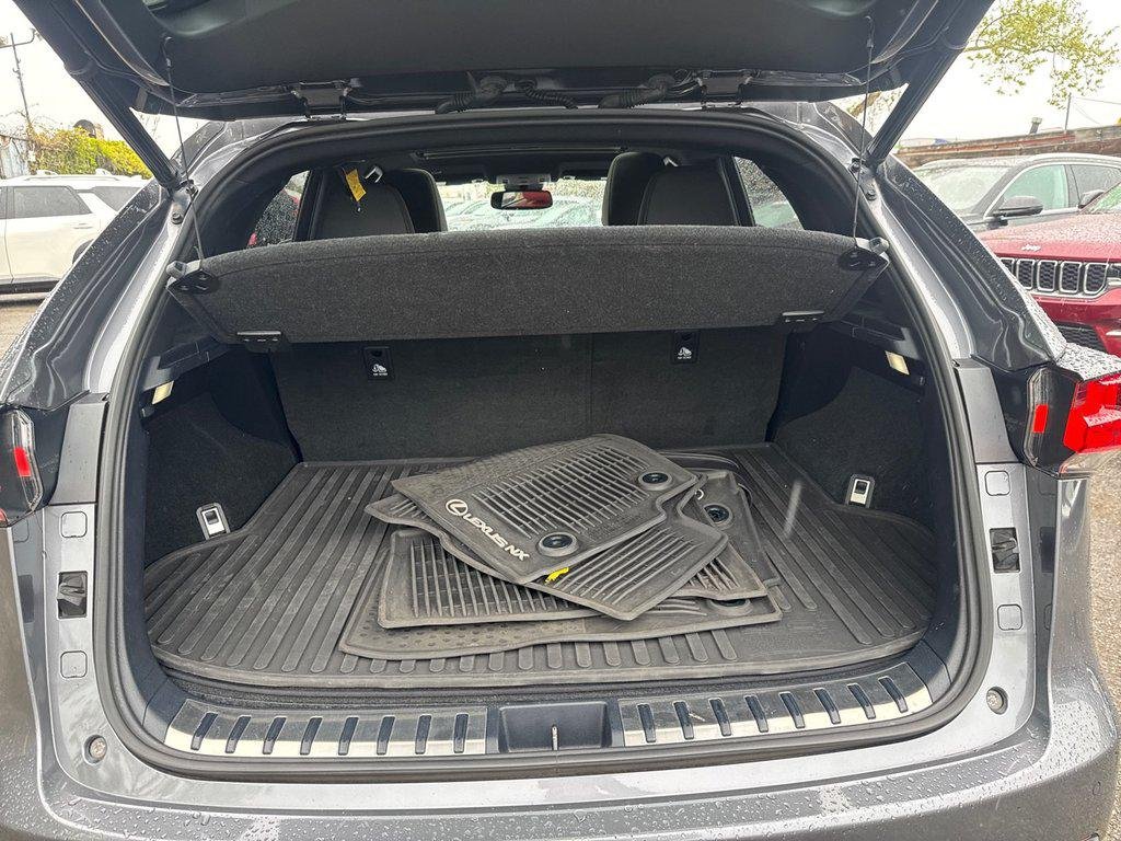 Used 2019 Nebula Gray Pearl Lexus F SPORT image 23