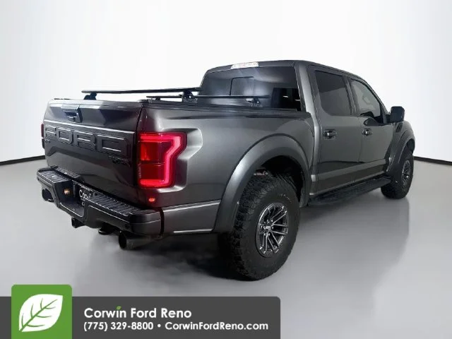Used 2019 Magnetic Ford Raptor image 9
