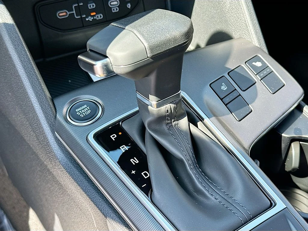 New 2026 Panthera Metal Kia EX image 16