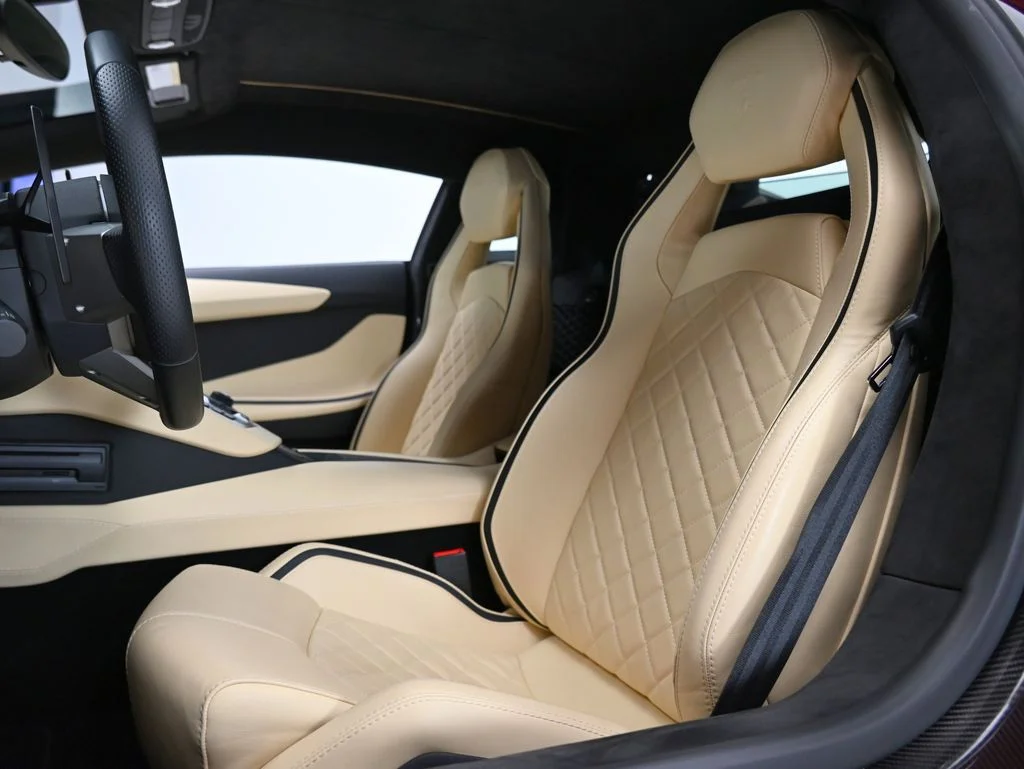 Used 2018 Maroon Lamborghini  image 14