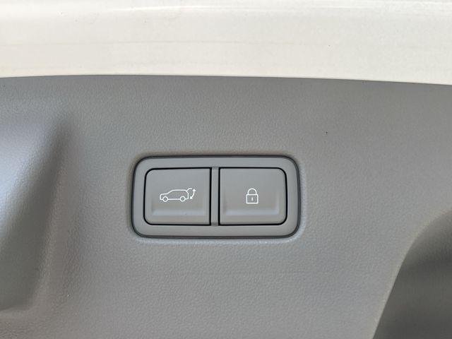 New 2026 White Hyundai Blue SEL 8P image 36