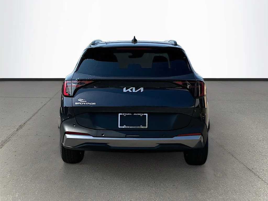 New 2026 Panthera Metal Kia EX image 6