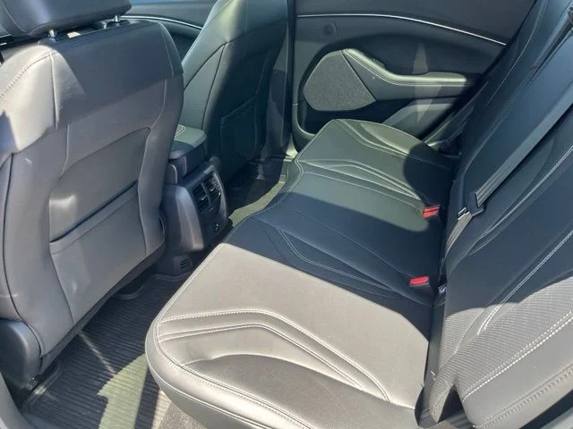 Used 2024 Blue Ford Premium image 20