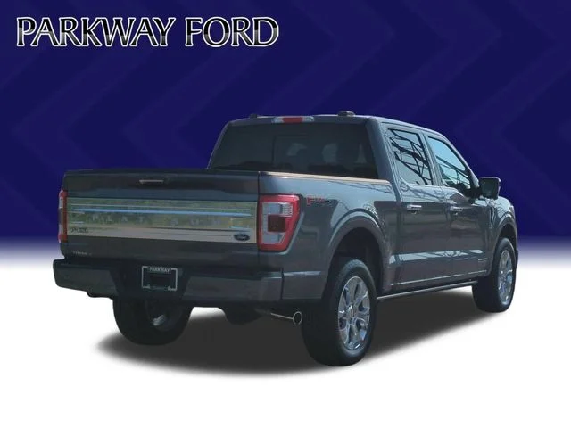 Used 2023 Gray Ford Platinum image 5