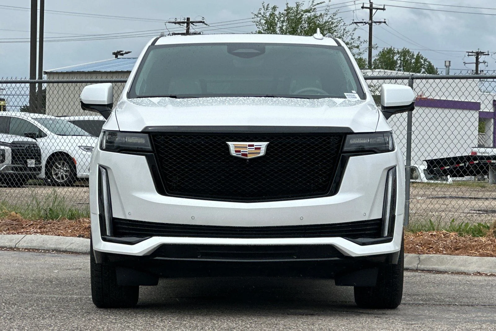 Used 2022  Cadillac Sport Platinum image 9