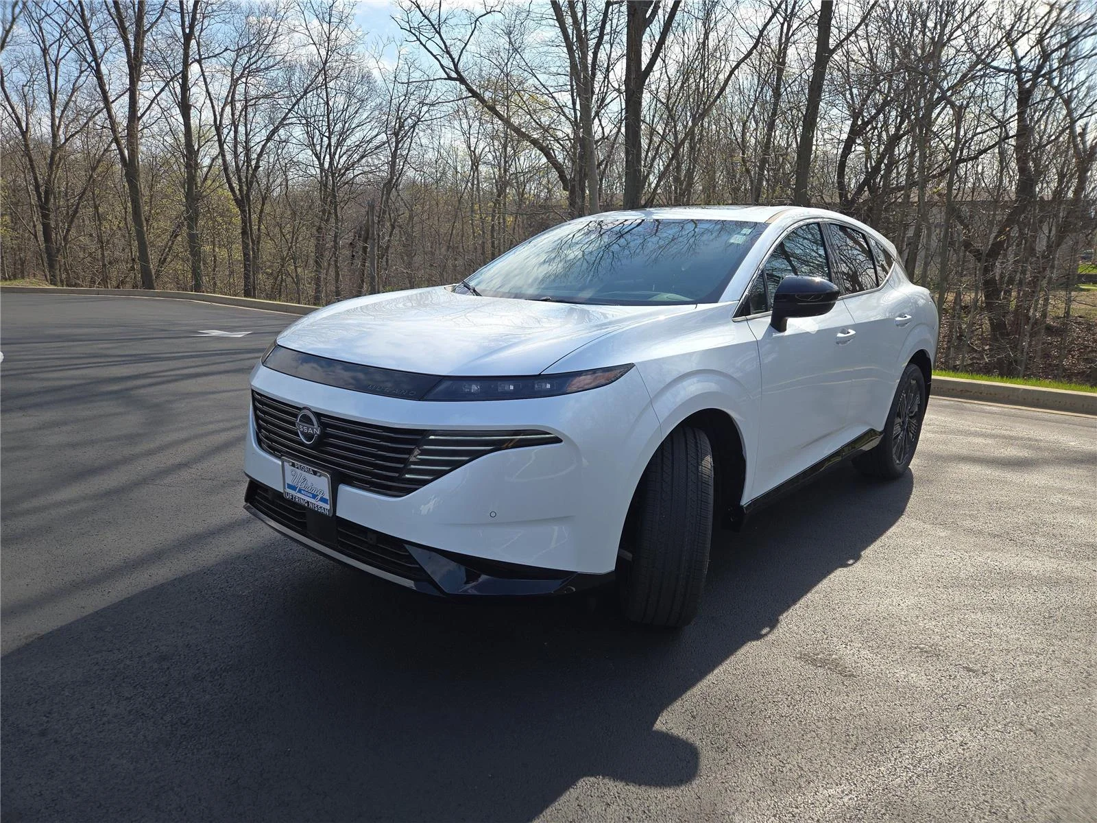 New 2026 Everest White Pearl Tricoat Nissan Platinum image 4