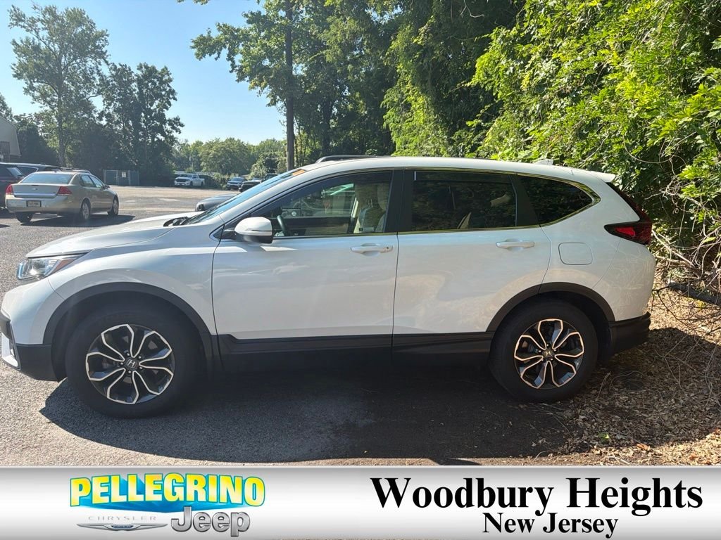 Used 2022 White Honda EX-L image 5