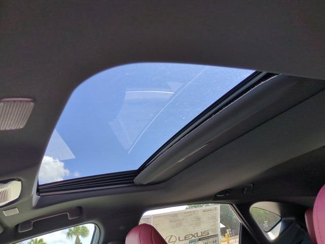 2026 Lexus NX 450h+ Premium - Photo 20