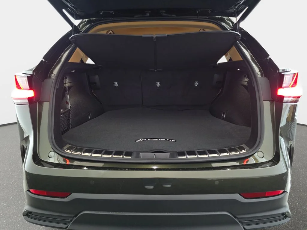 New 2026 Nori Green Pearl Lexus PREMIUM image 12