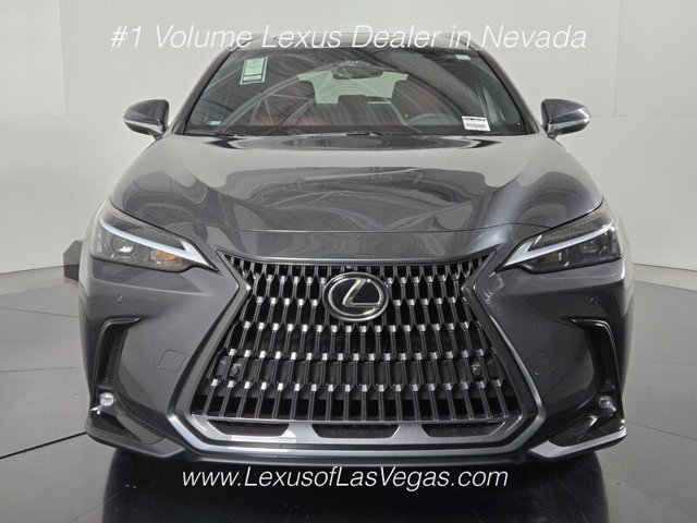 New 2026 Cloudburst Gray Lexus PREMIUM image 15
