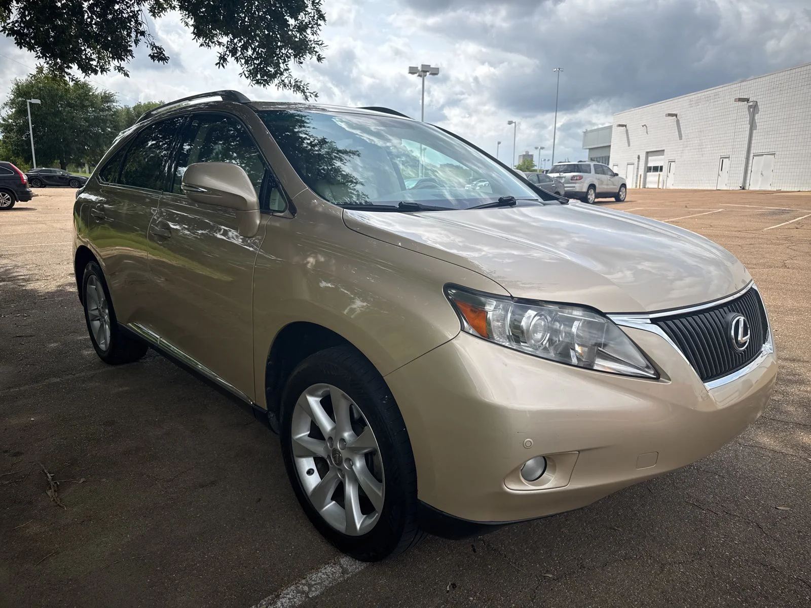2010 Lexus RX 350