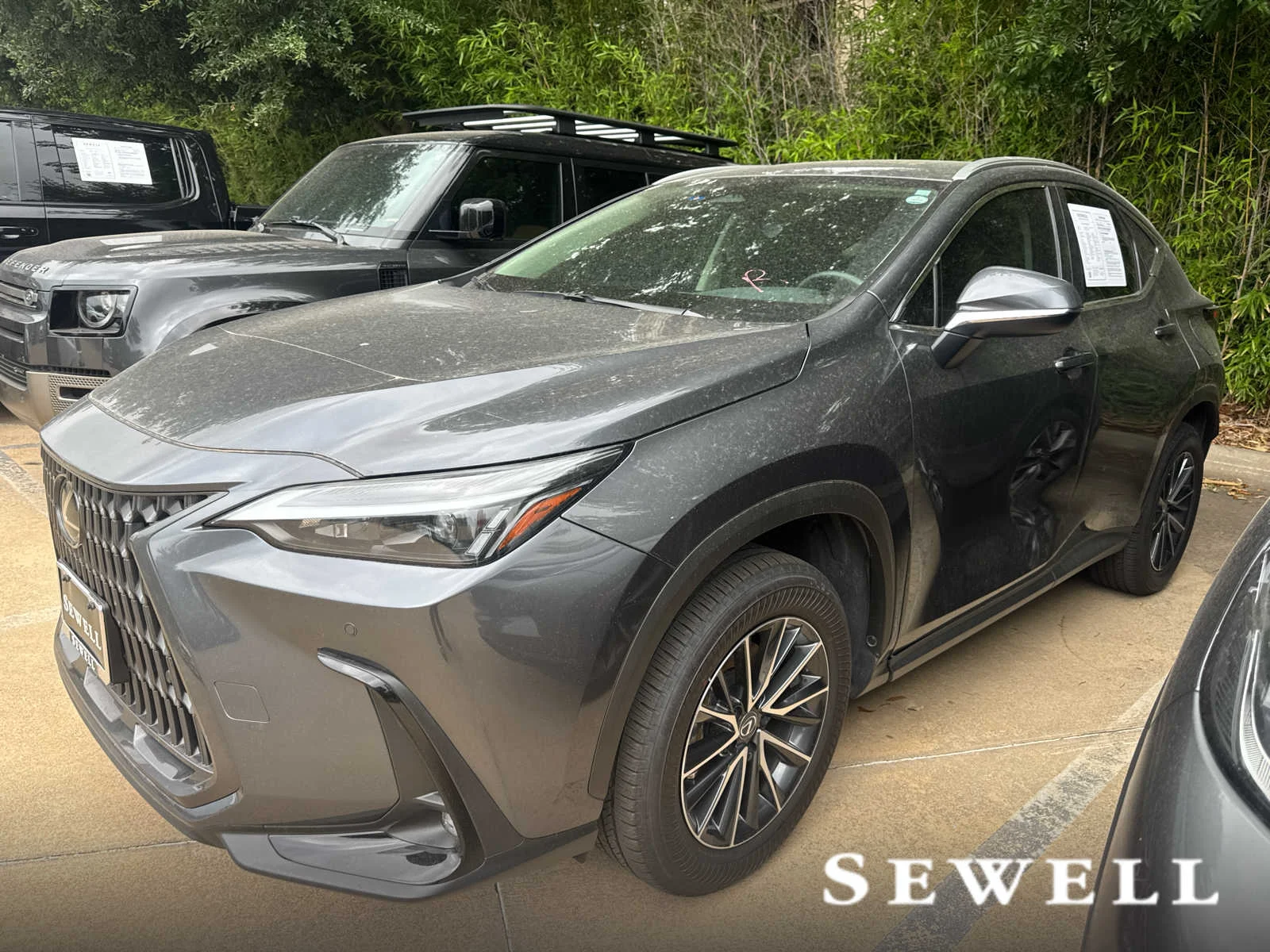 2025 Lexus NX 350's photo