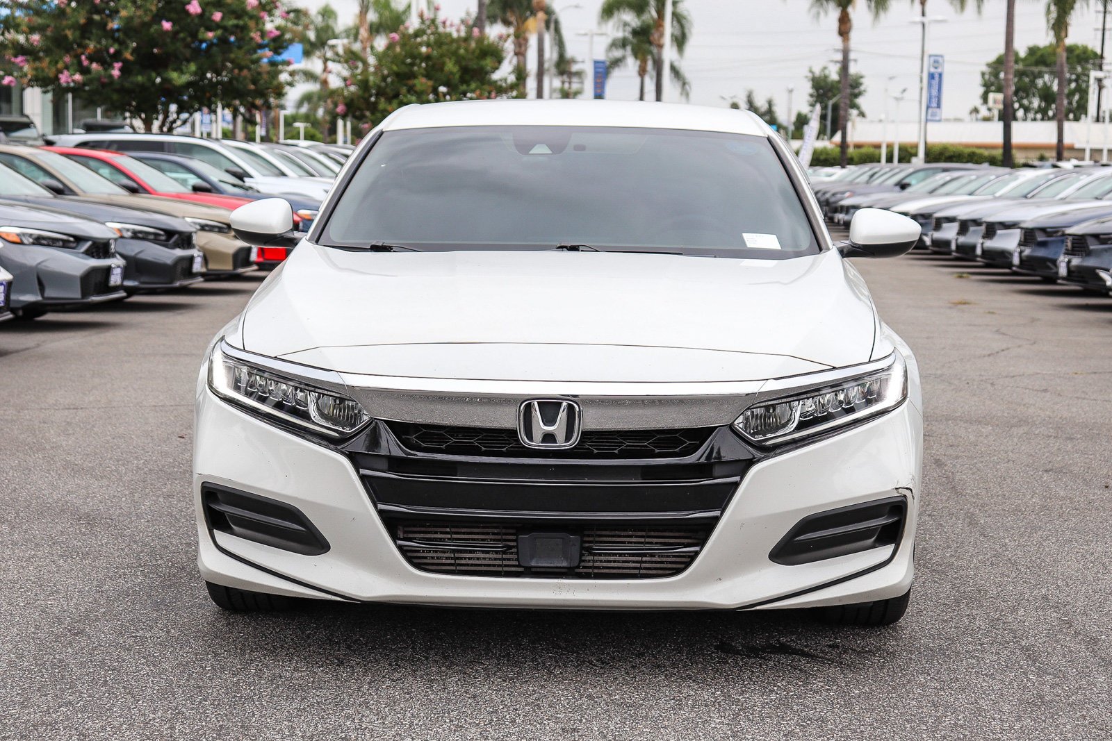 Certified Used 2020 Platinum White Pearl Honda LX image 2