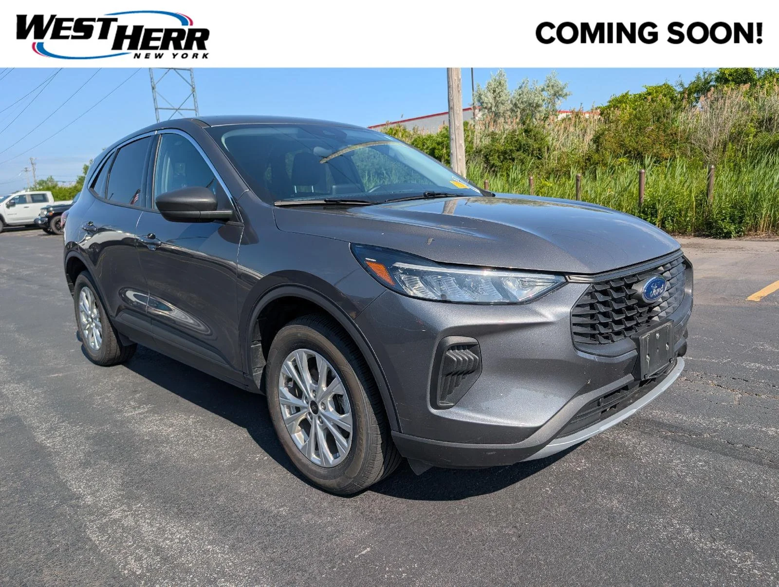 Used 2024  Ford Active image 1