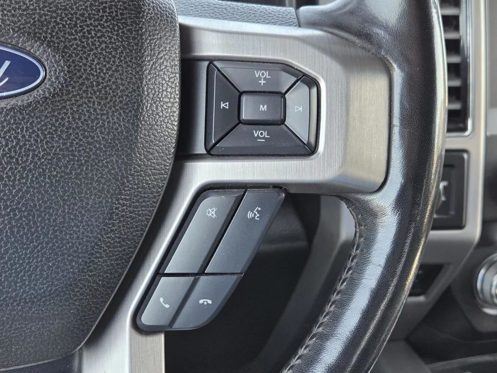 Used 2019 Magnetic Ford Platinum image 21