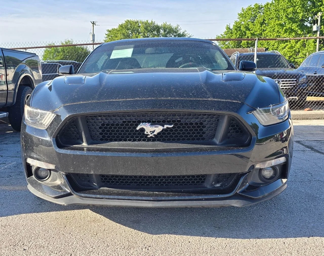 2017 Ford Mustang GT Coupe Premium's photo