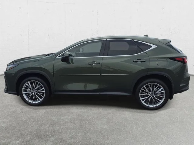 New 2026 Nori Green Pearl Lexus PREMIUM image 8