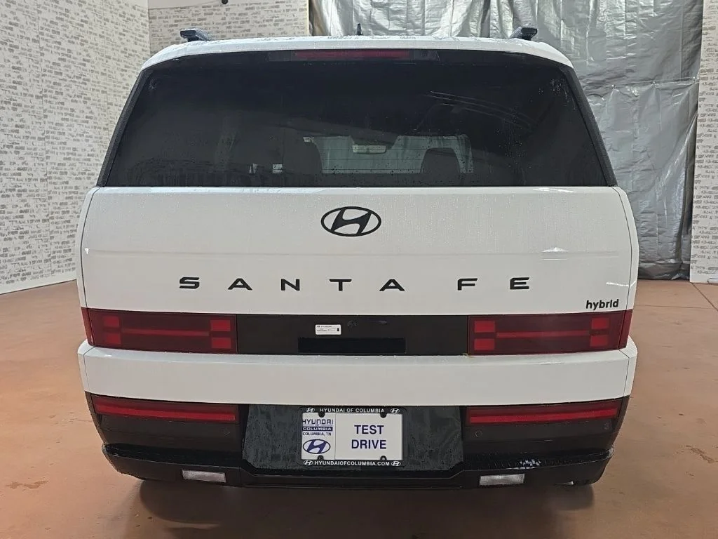 New 2026 Serenity White Hyundai Calligraphy image 7