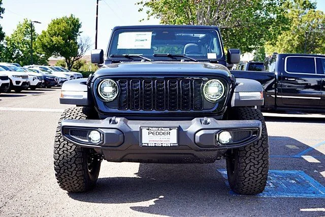 New 2026 Black Clear-Coat Exterior Paint Jeep Willys image 5