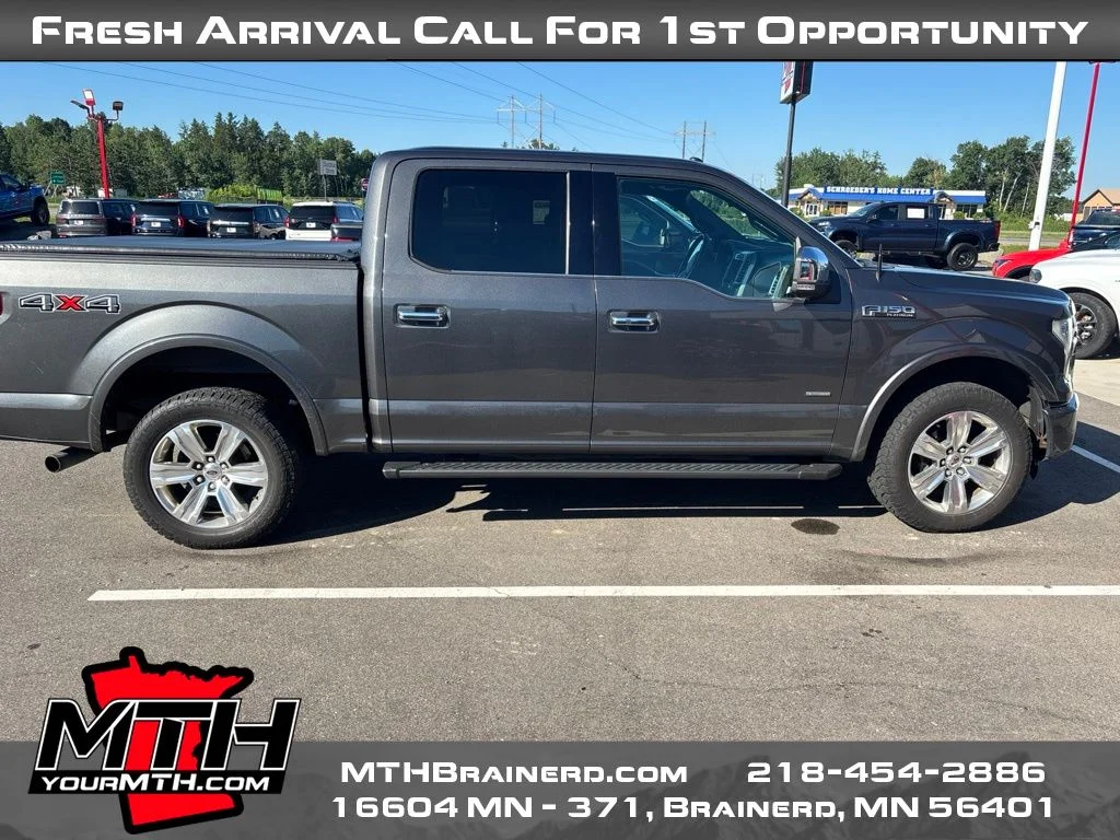 Used 2015 Gray Ford Platinum image 1