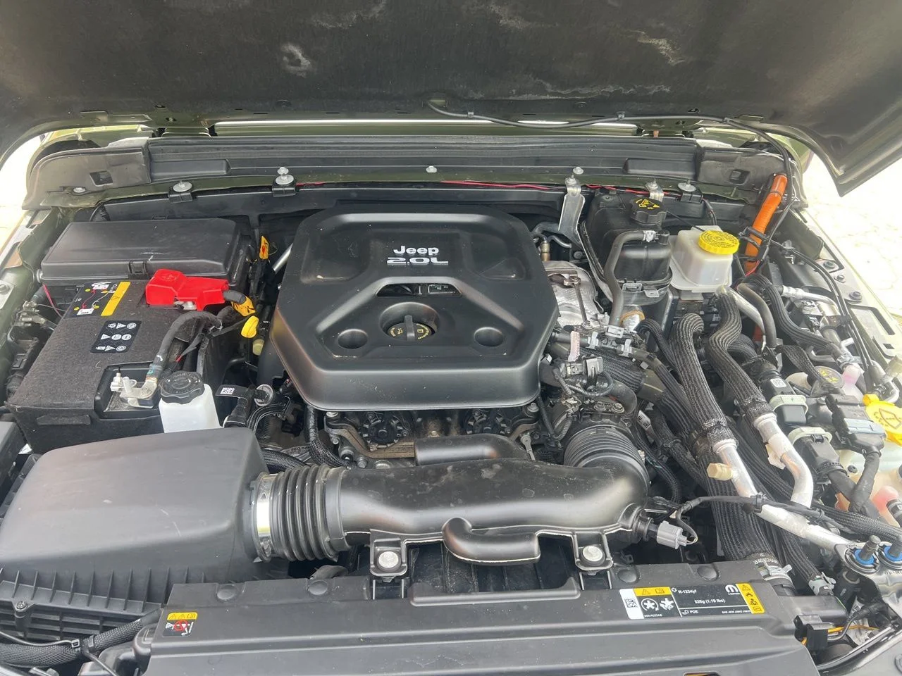 1C4JJXP65PW605238