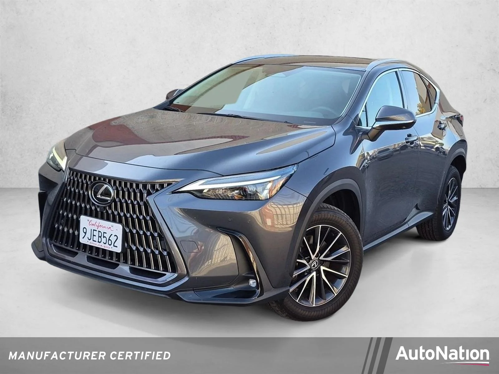2024 Lexus NX