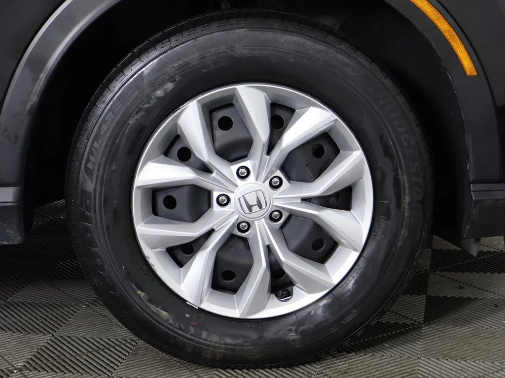 Photo 18