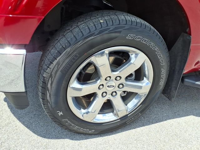 Used 2021 Red Ford XLT image 6